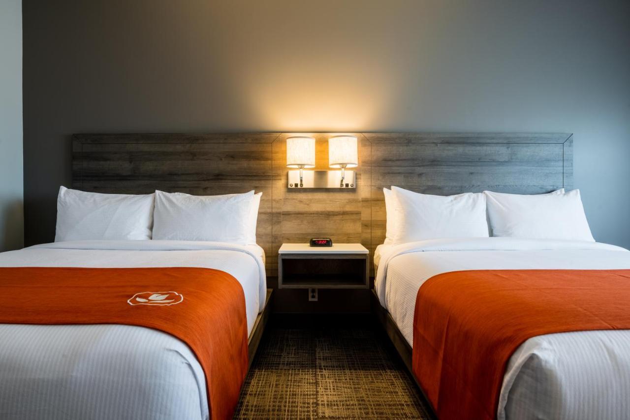 Amsterdam Inn & Suites, Ascend Hotel Collection Florenceville Eksteriør billede