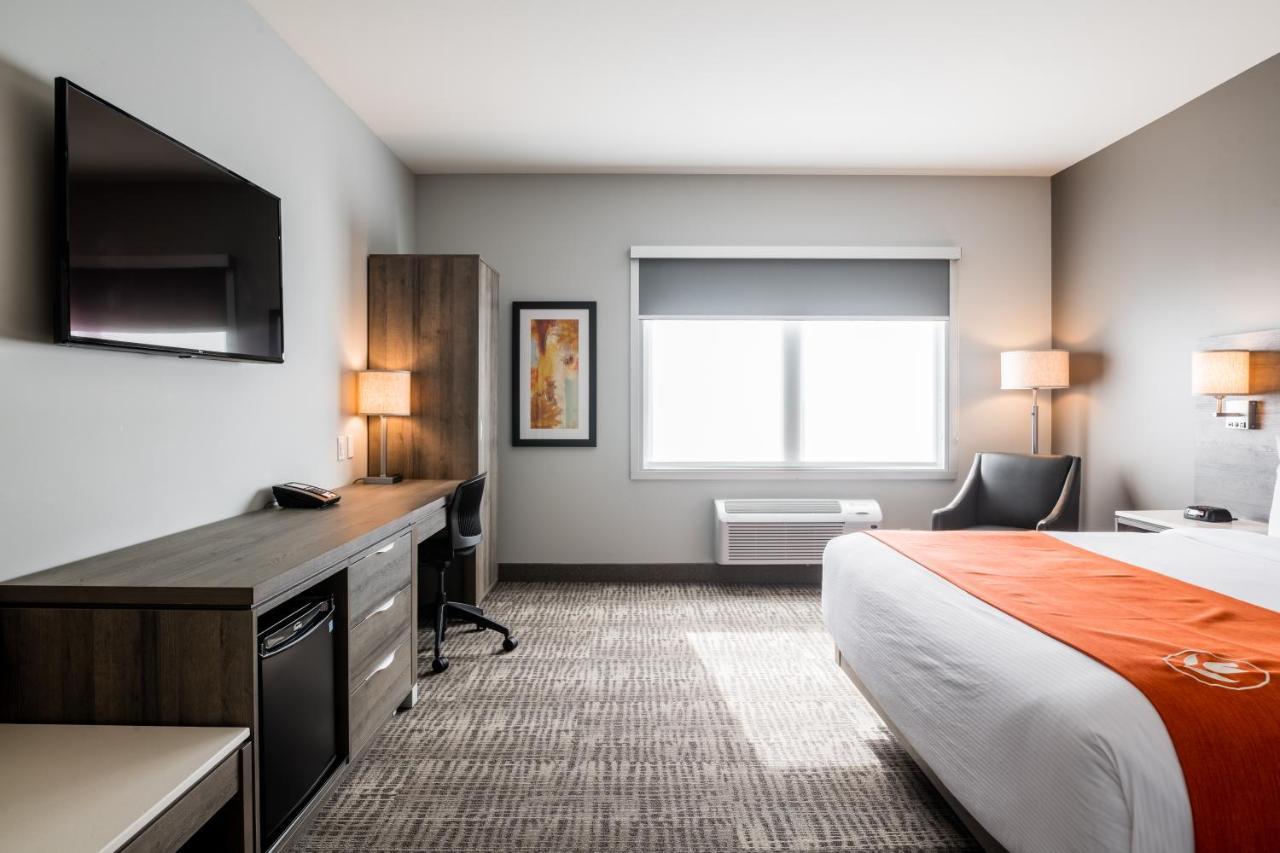 Amsterdam Inn & Suites, Ascend Hotel Collection Florenceville Eksteriør billede