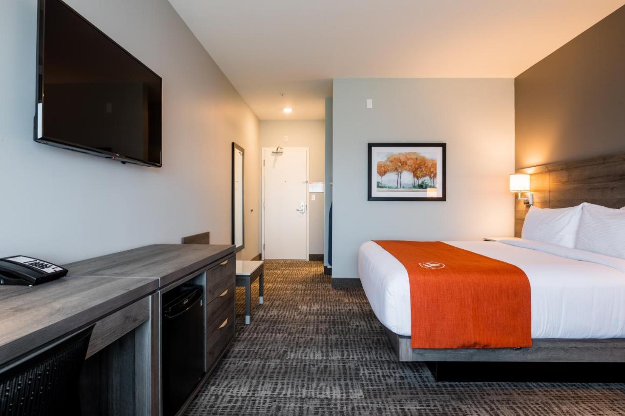 Amsterdam Inn & Suites, Ascend Hotel Collection Florenceville Eksteriør billede