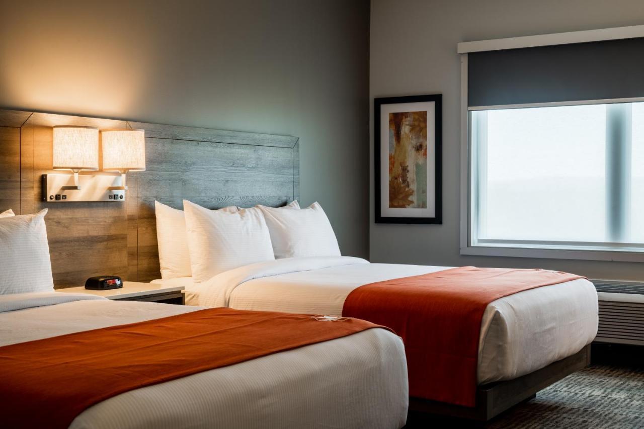 Amsterdam Inn & Suites, Ascend Hotel Collection Florenceville Eksteriør billede